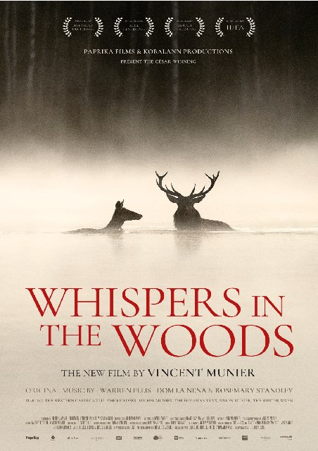 PFF Whispers in the Woods Le chant des for�ts