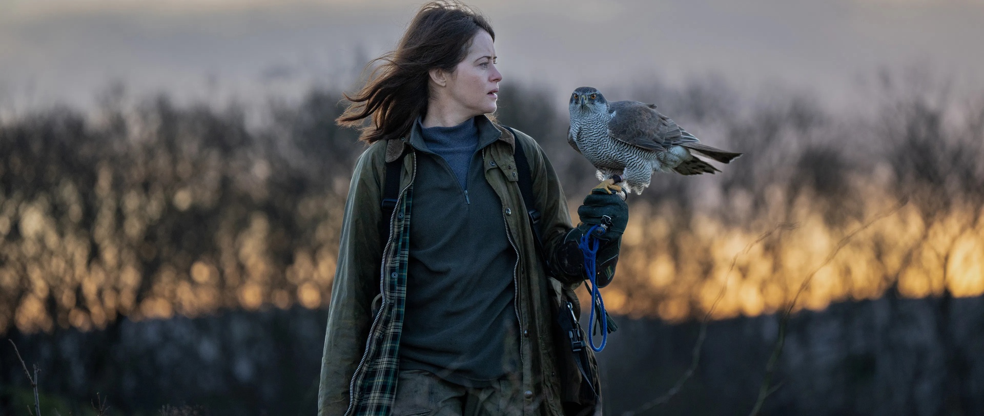 H is for Hawk (2025) Dir.