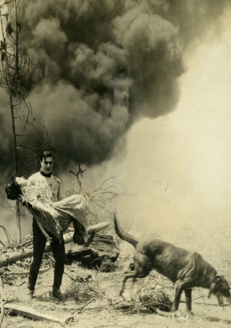 Action Dog Stars Double Bill: The Skyrider (1928) and Teeth (1924)  